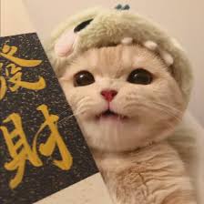 Ảnh đại diện Thanh Hằng