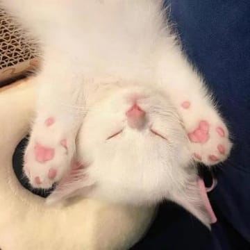 Ảnh đại diện Hoàng Dũng